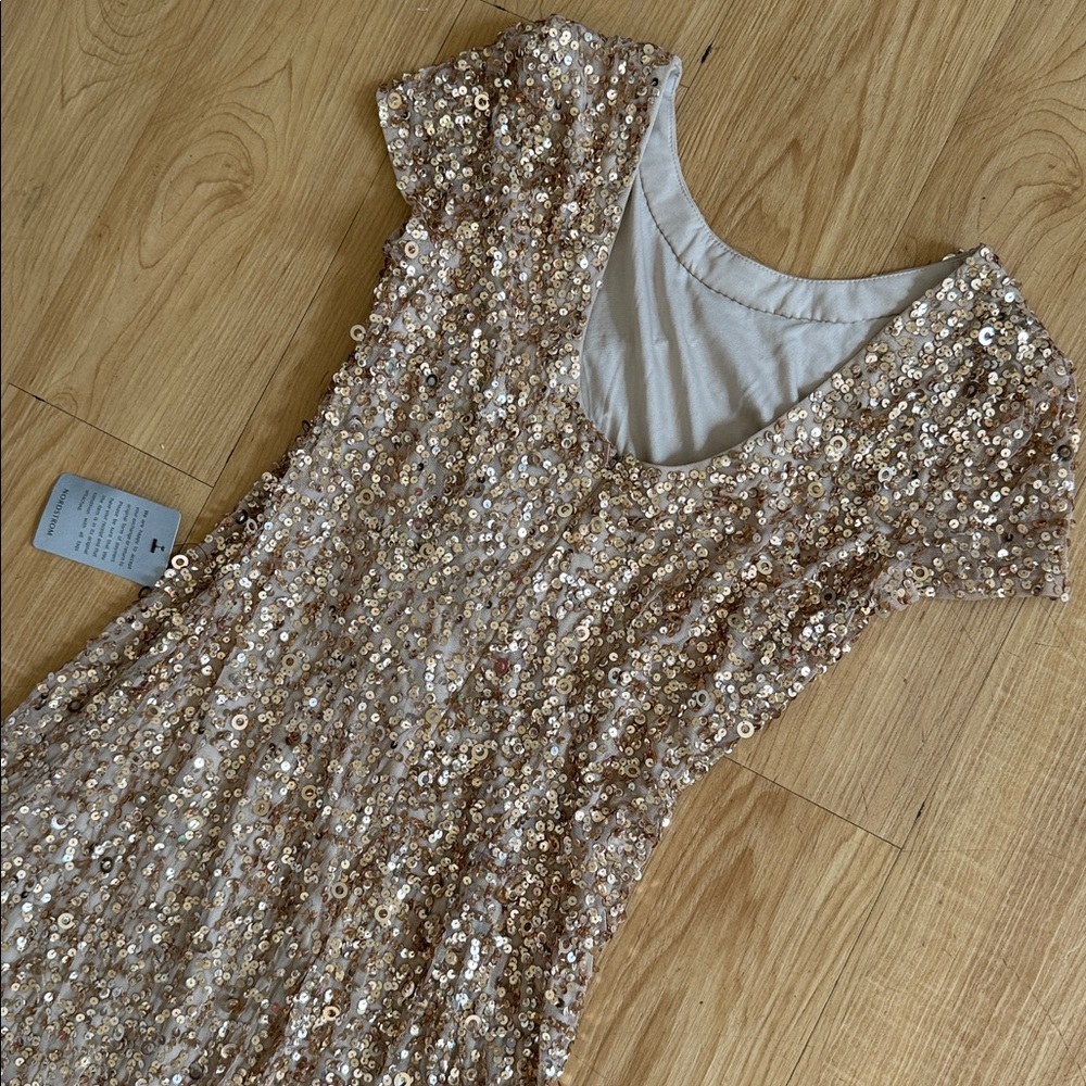 Adrianna Papell Champagne Sequin Dress